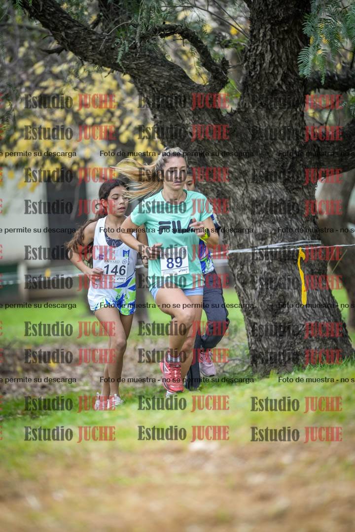 Fotos en el sexto punto del circuito