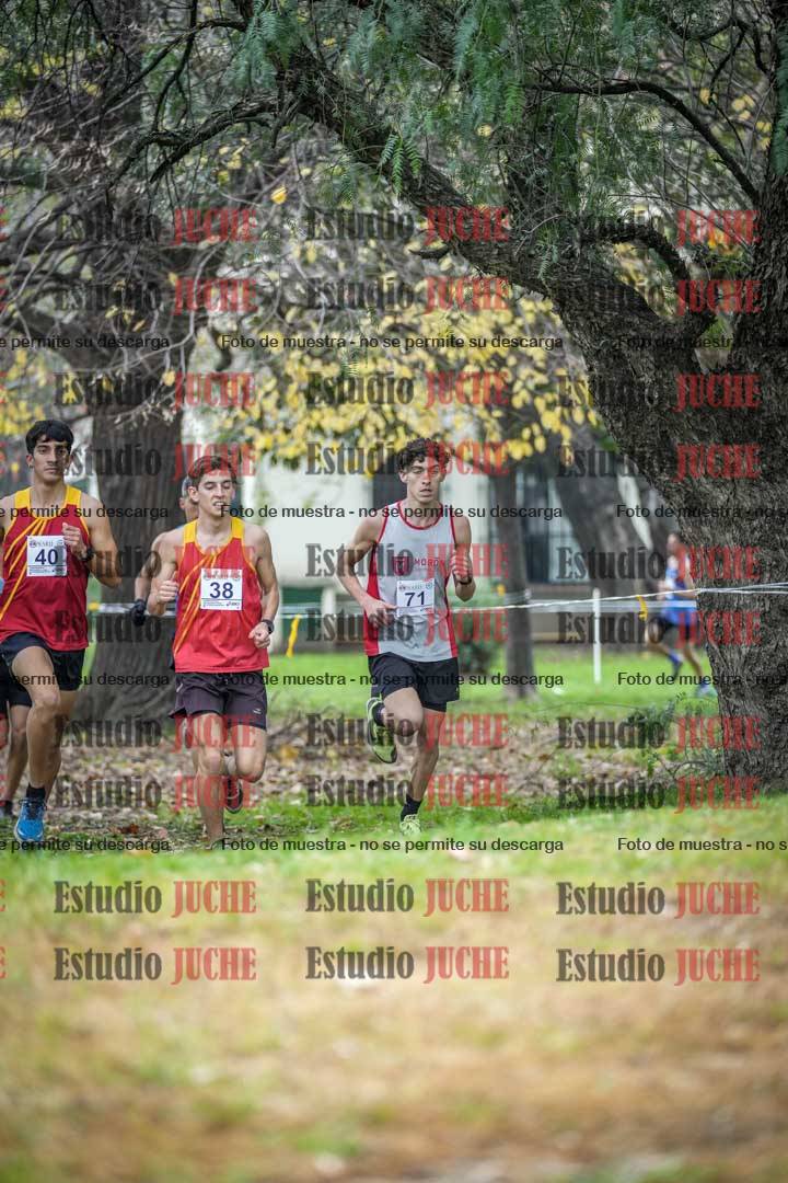 Fotos en el quinto punto del circuito