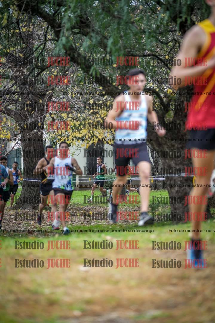 Fotos en el quinto punto del circuito