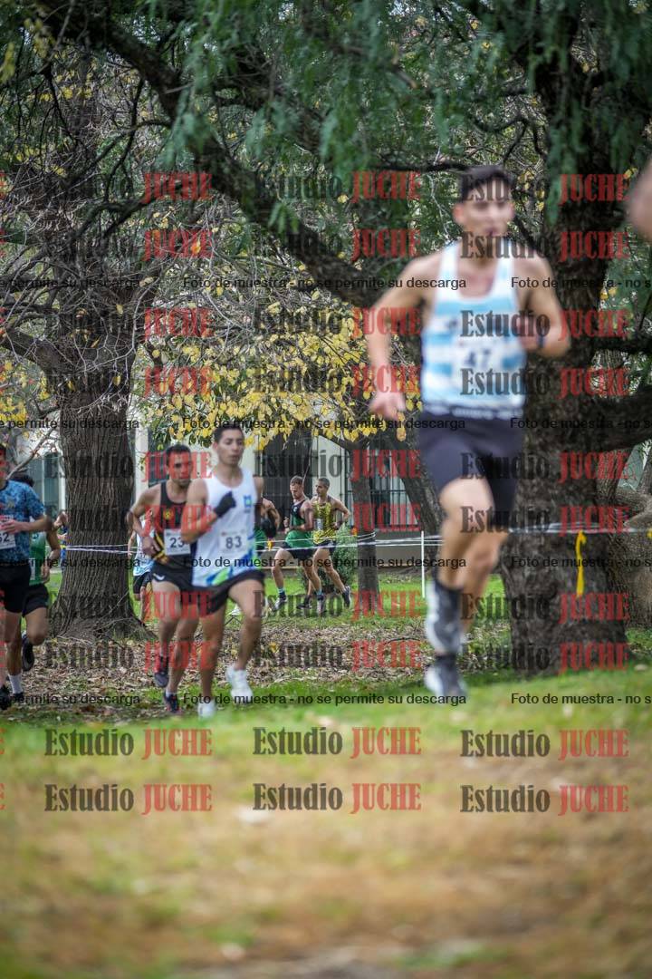 Fotos en el quinto punto del circuito