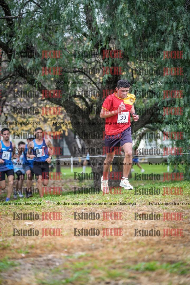 Fotos en el quinto punto del circuito