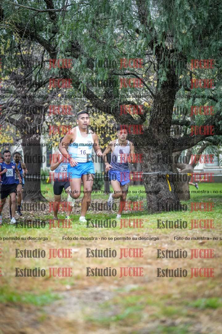 Fotos en el quinto punto del circuito
