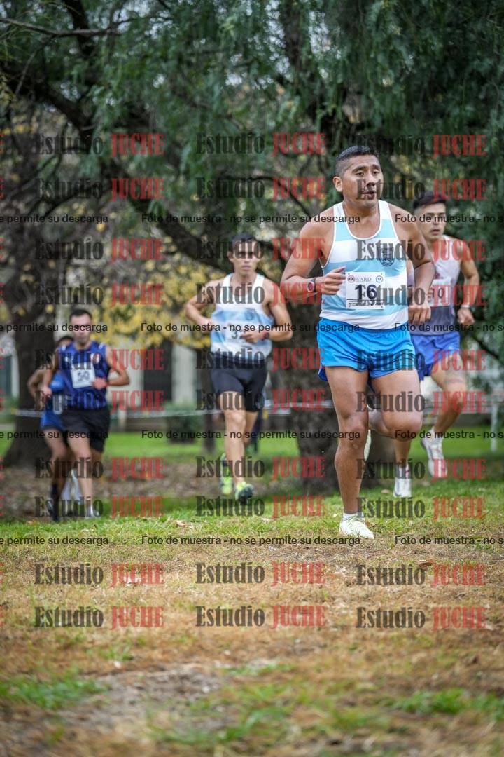 Fotos en el quinto punto del circuito