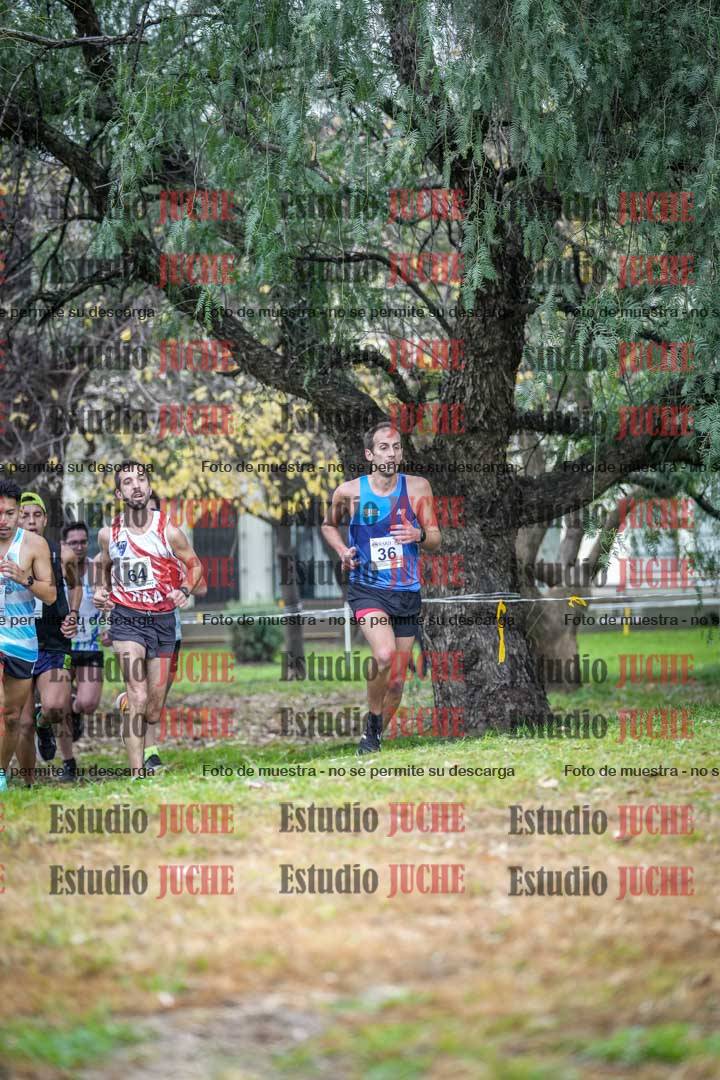 Fotos en el quinto punto del circuito