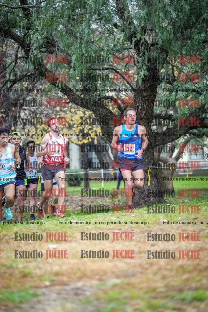 Fotos en el quinto punto del circuito