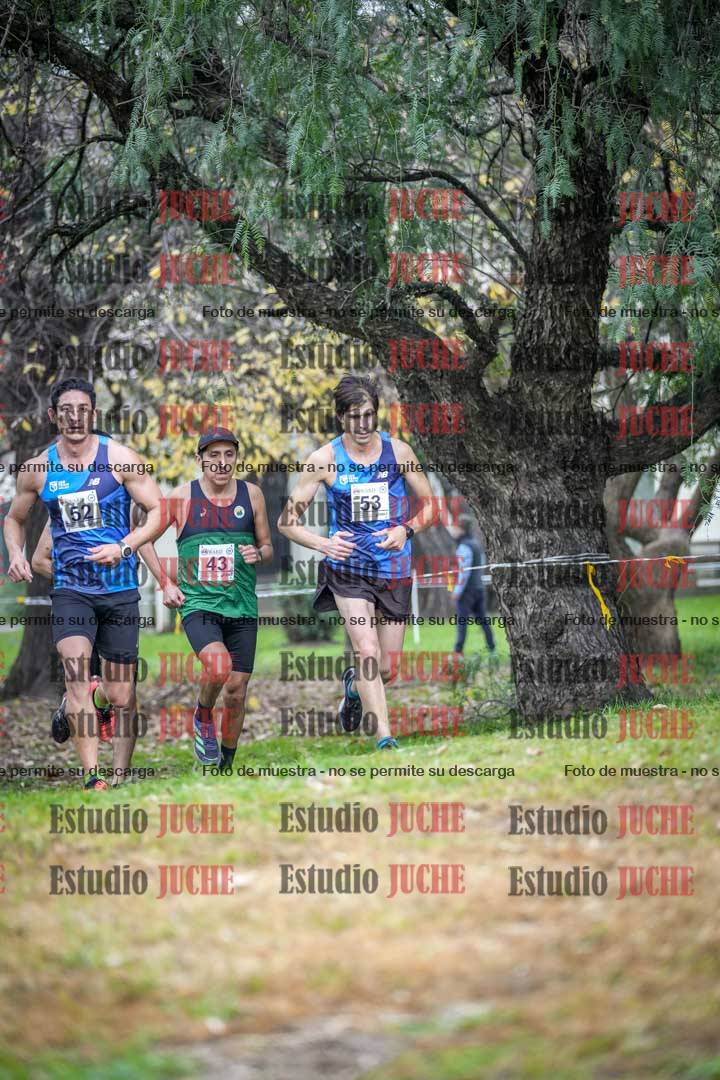 Fotos en el quinto punto del circuito