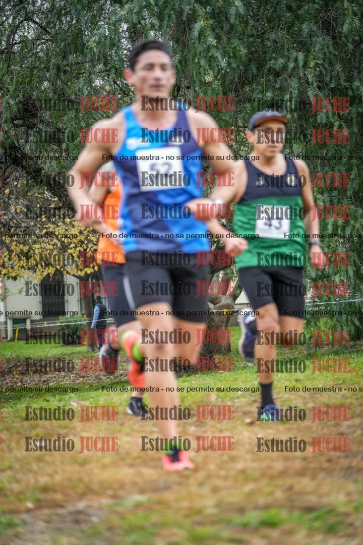 Fotos en el quinto punto del circuito