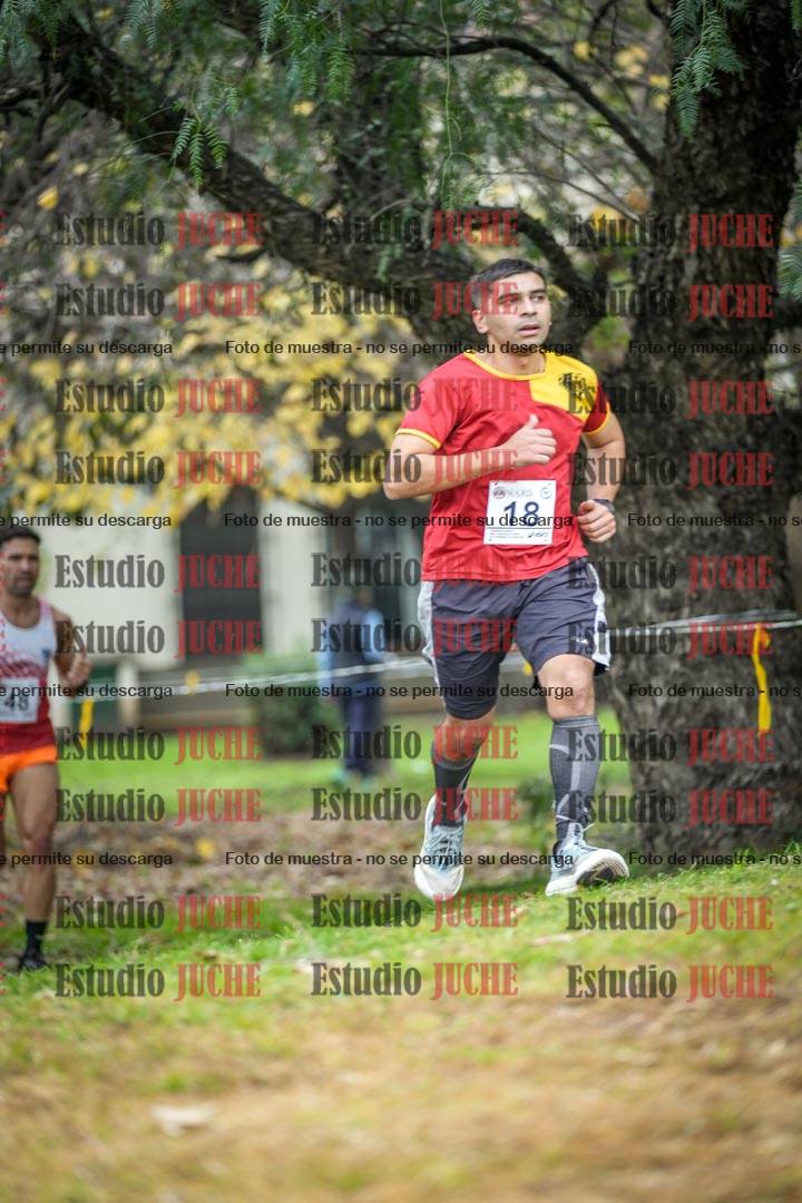 Fotos en el quinto punto del circuito