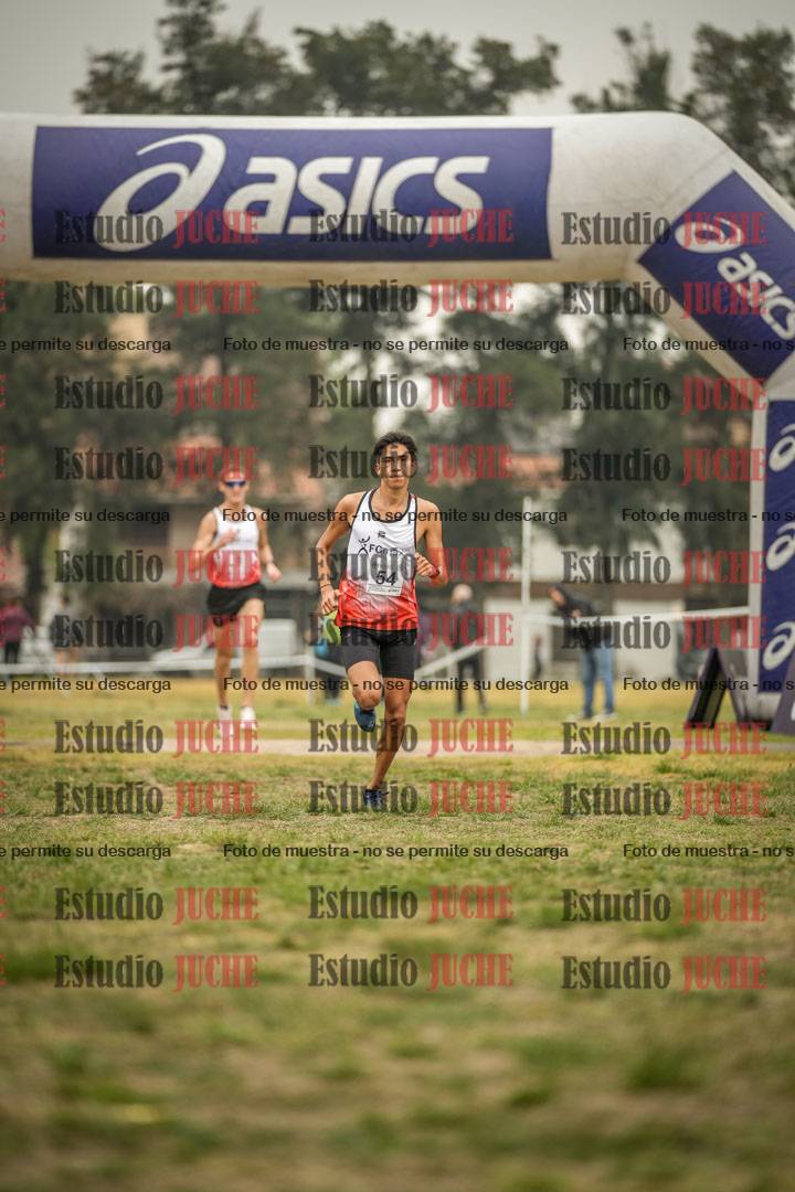 Fotos de la llegada del cross de 10.000 m
