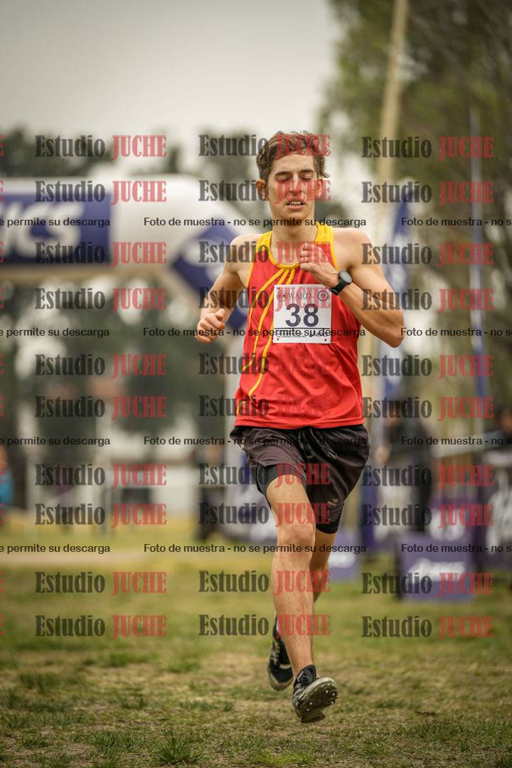 Fotos de la llegada del cross de 10.000 m