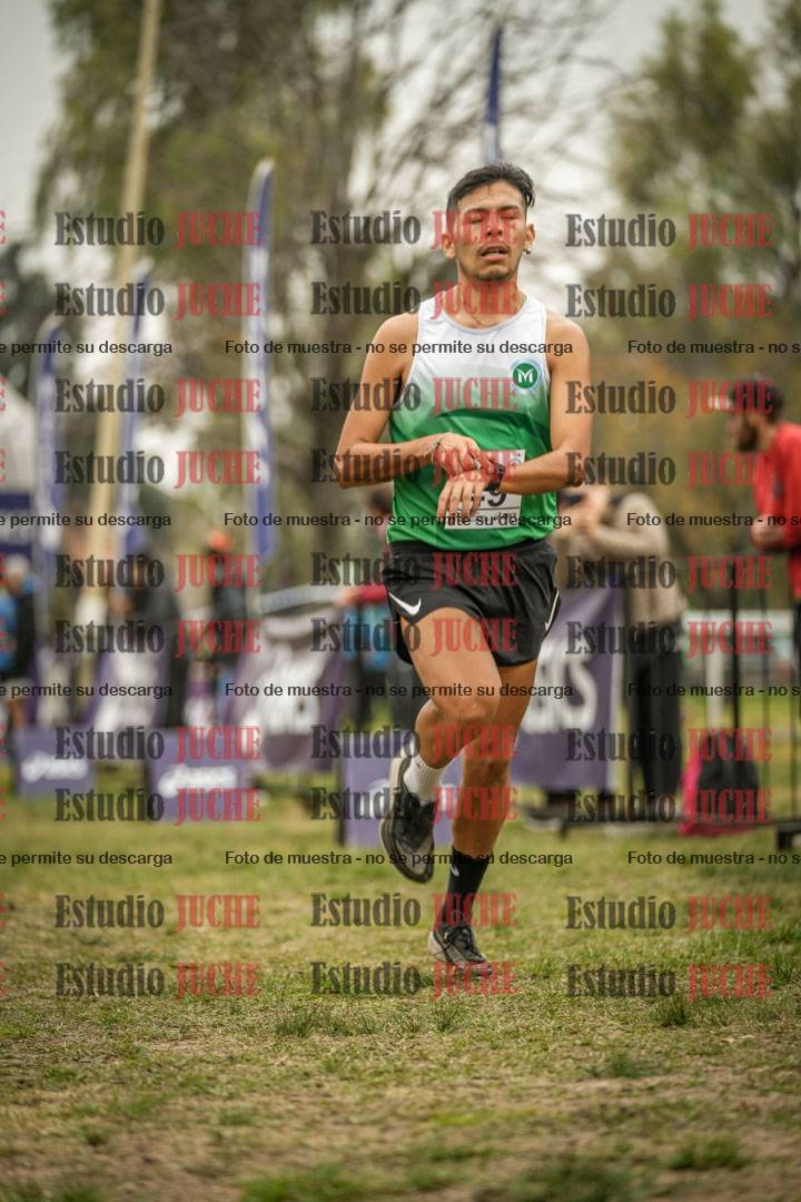 Fotos de la llegada del cross de 10.000 m