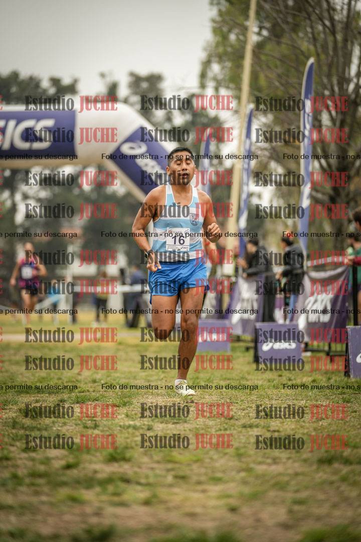Fotos de la llegada del cross de 10.000 m
