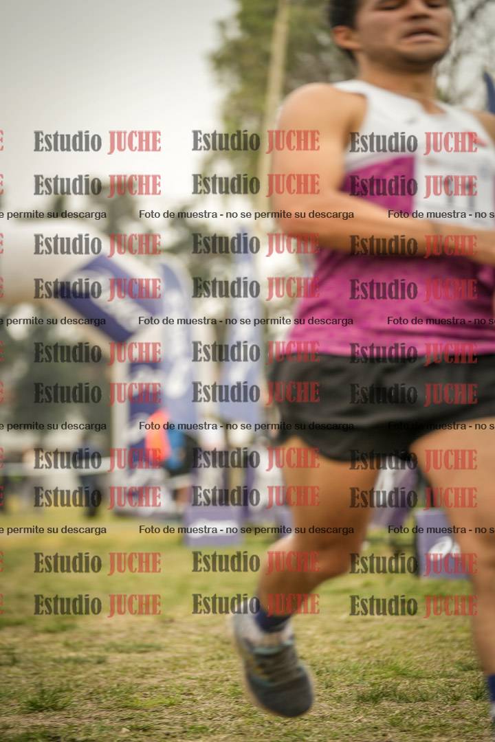 Fotos de la llegada del cross de 10.000 m