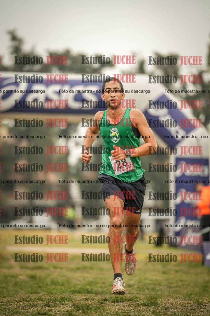 Fotos de la llegada del cross de 10.000 m