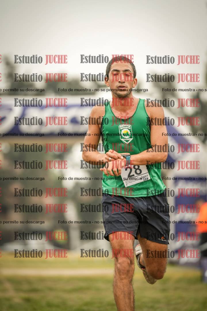 Fotos de la llegada del cross de 10.000 m