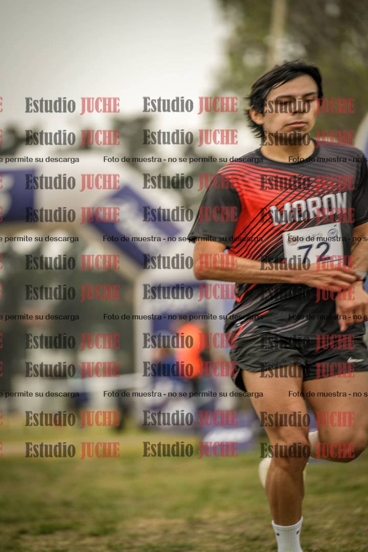 Fotos de la llegada del cross de 10.000 m