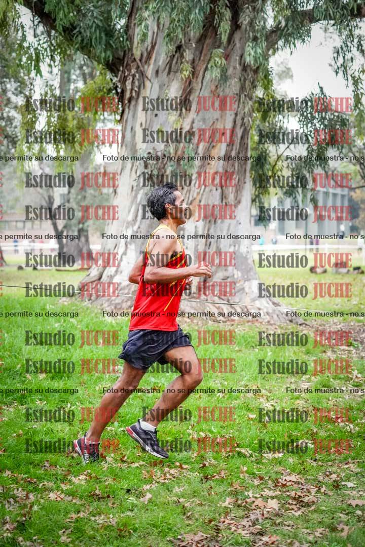 Fotos en el octavo punto del circuito