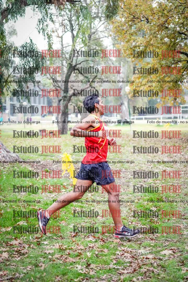Fotos en el octavo punto del circuito