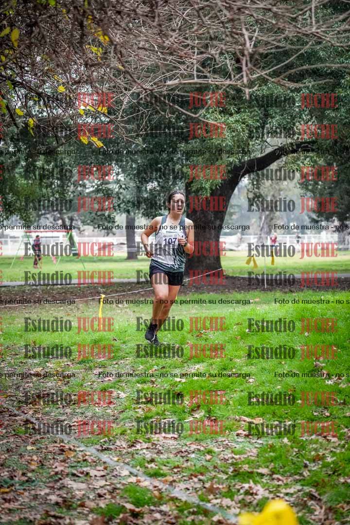 Fotos en el octavo punto del circuito