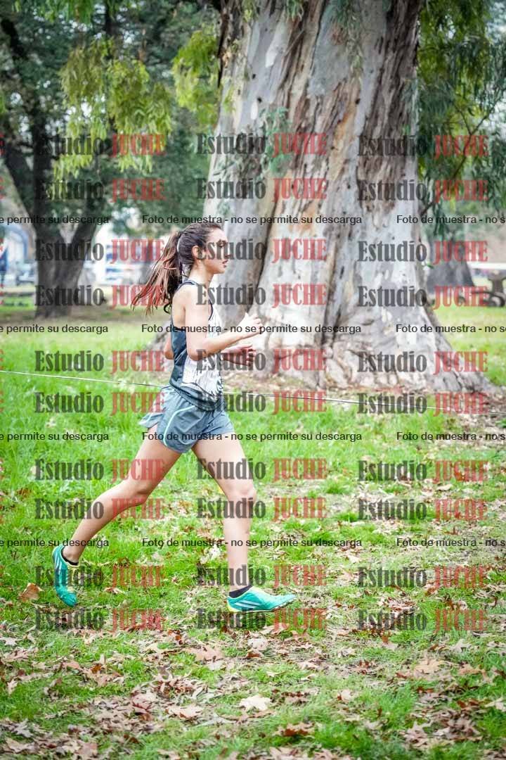 Fotos en el octavo punto del circuito