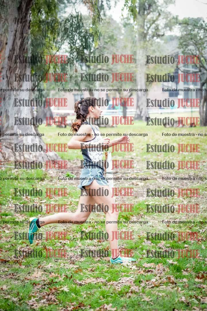 Fotos en el octavo punto del circuito