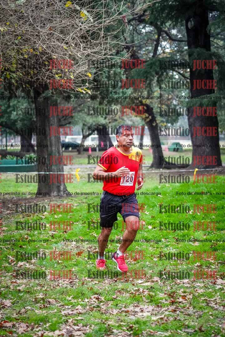 Fotos en el octavo punto del circuito