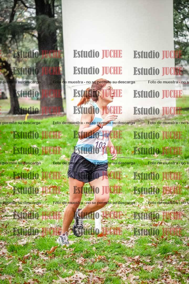 Fotos en el octavo punto del circuito
