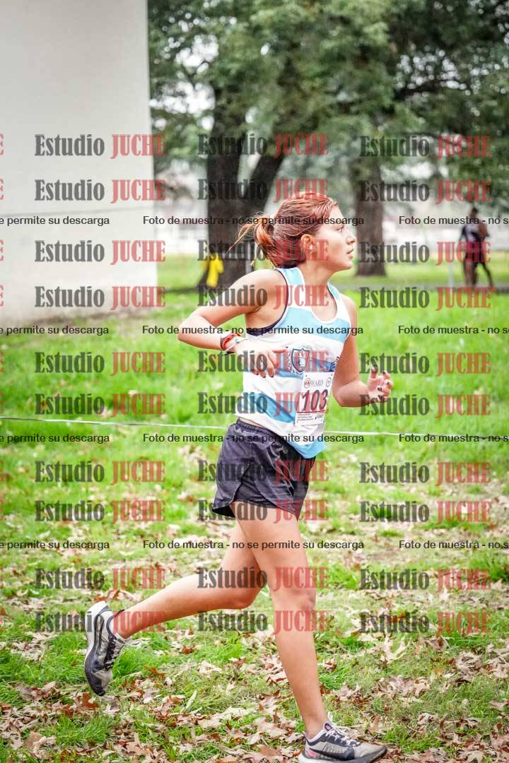 Fotos en el octavo punto del circuito