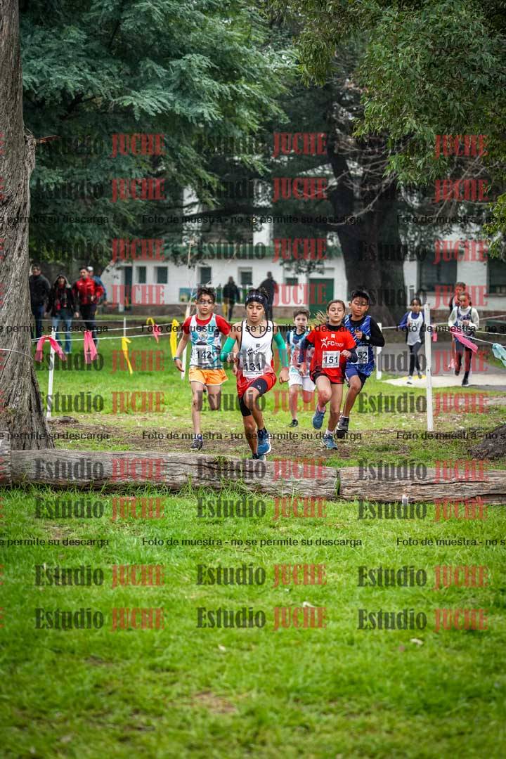 Fotos en el segundo punto del circuito