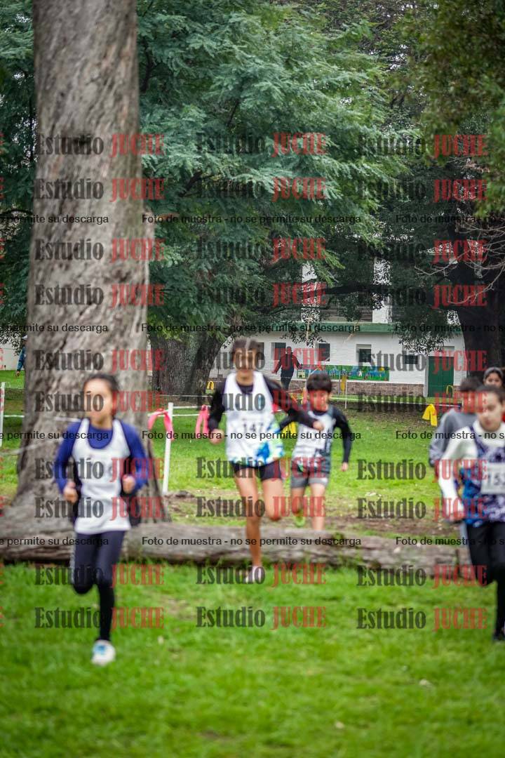Fotos en el segundo punto del circuito