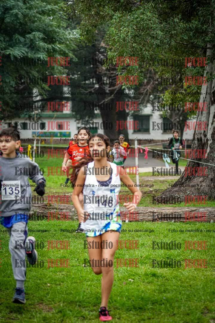 Fotos en el segundo punto del circuito