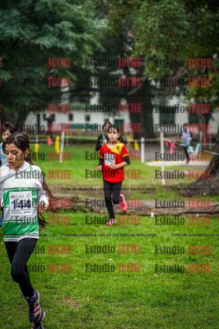 Fotos en el segundo punto del circuito