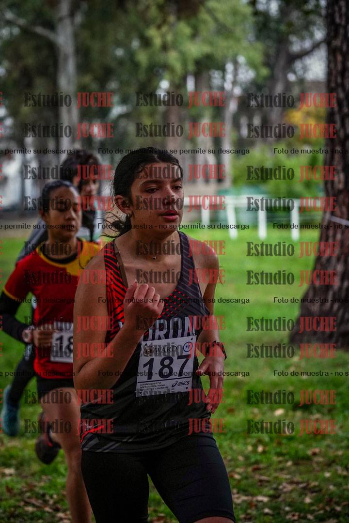 Fotos en el primer punto del circuito