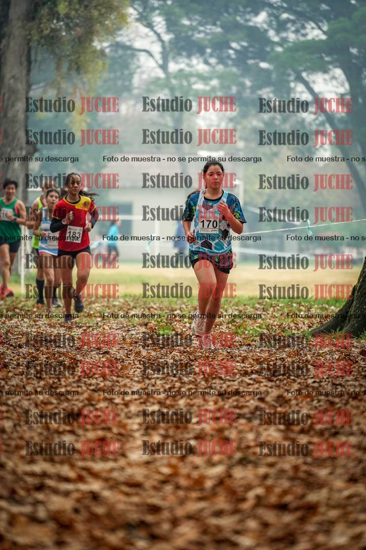 Fotos en el quinto punto del circuito