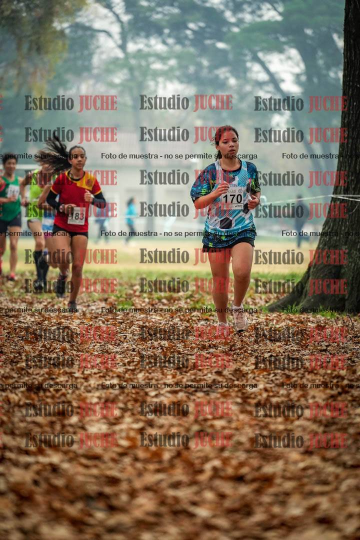 Fotos en el quinto punto del circuito
