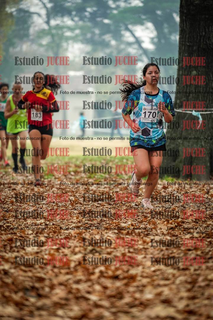 Fotos en el quinto punto del circuito