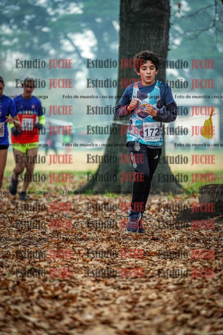 Fotos en el quinto punto del circuito