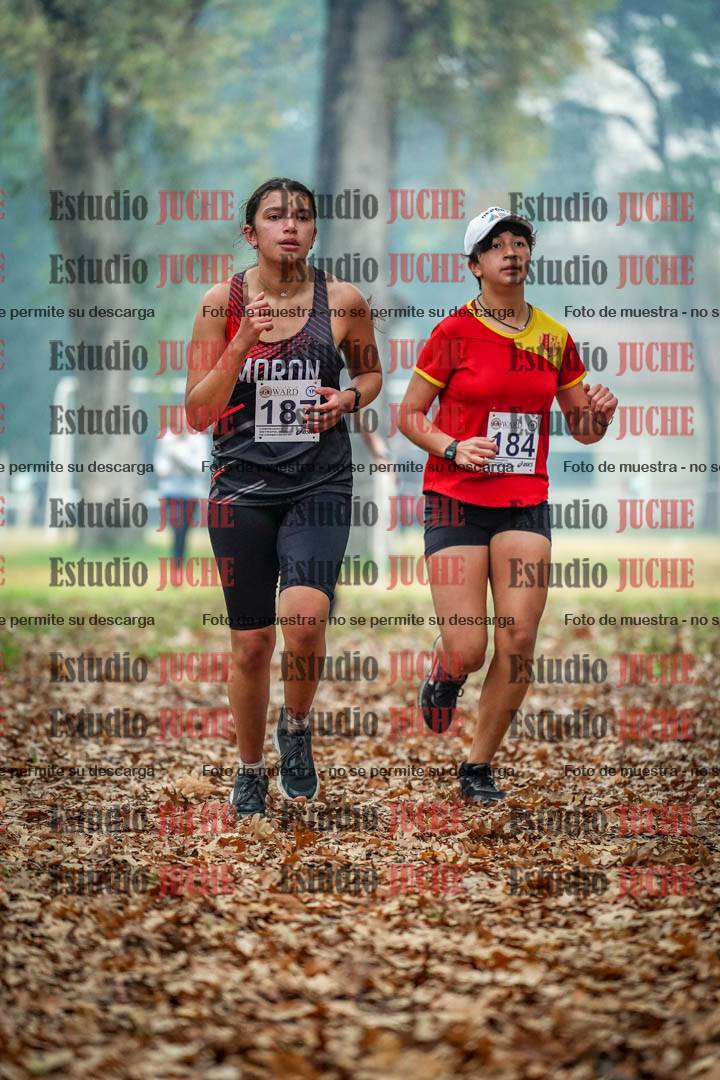Fotos en el quinto punto del circuito