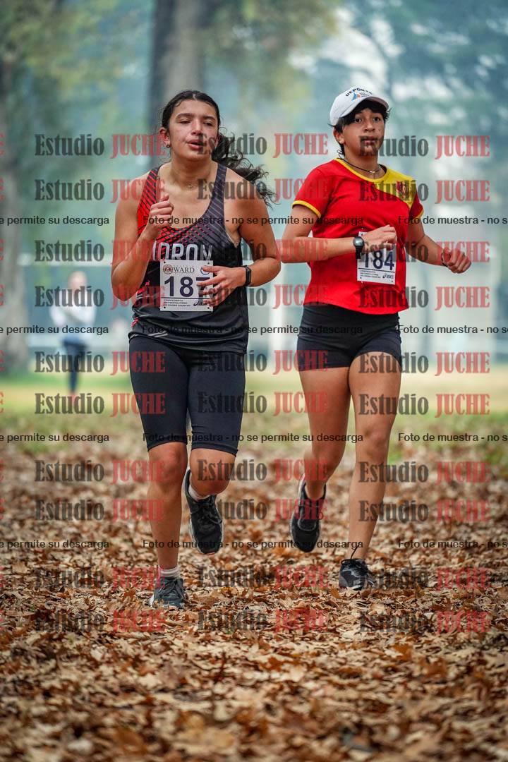 Fotos en el quinto punto del circuito