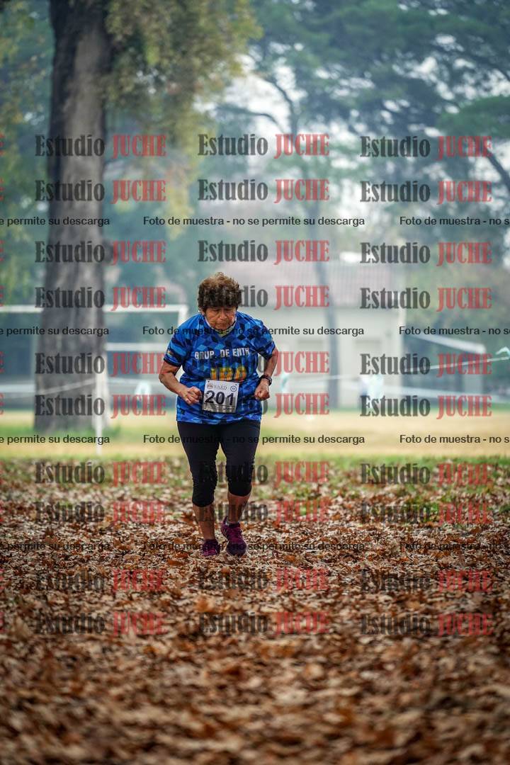 Fotos en el quinto punto del circuito