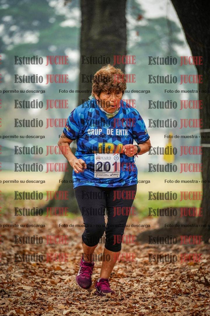 Fotos en el quinto punto del circuito