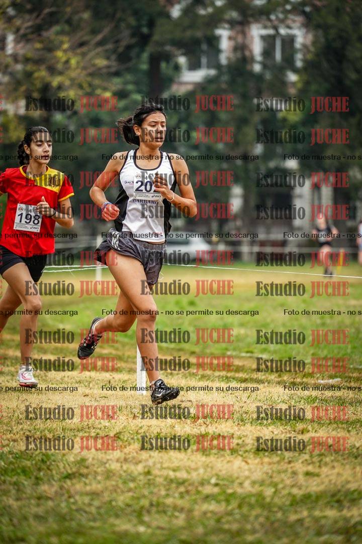 Fotos en el tercer punto del circuito