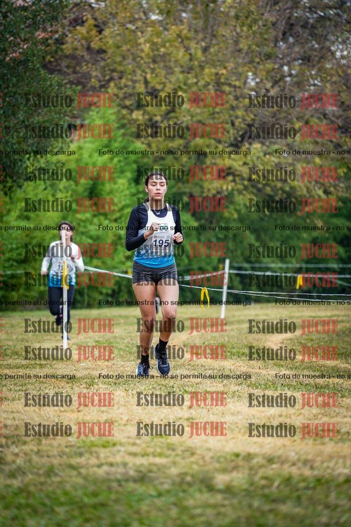 Fotos en el tercer punto del circuito
