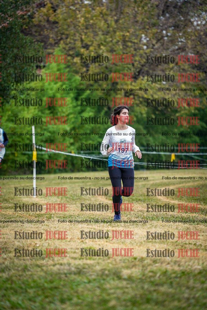 Fotos en el tercer punto del circuito