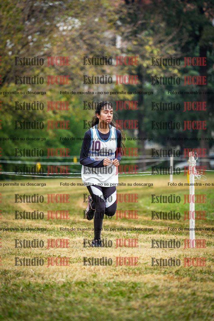 Fotos en el tercer punto del circuito