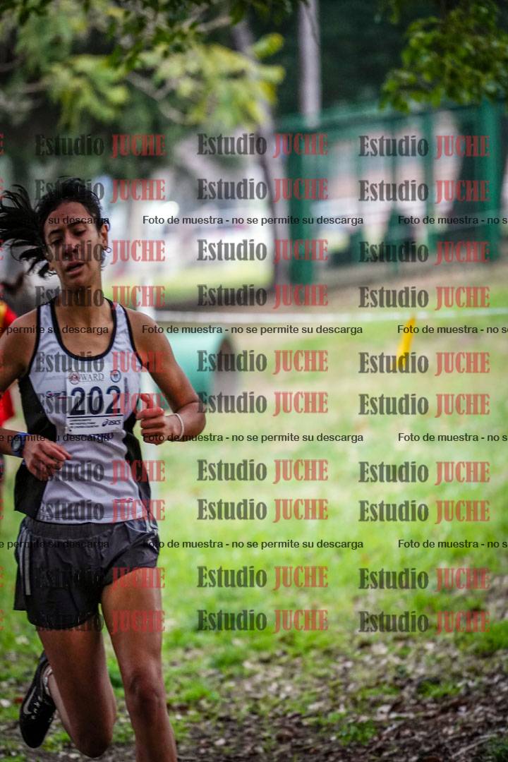 Fotos en el quinto punto del circuito