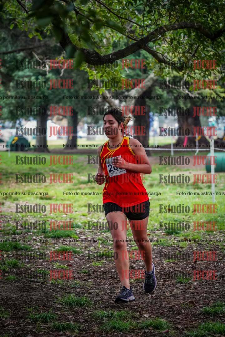 Fotos en el quinto punto del circuito