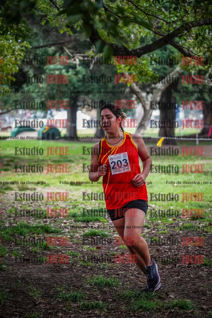 Fotos en el quinto punto del circuito