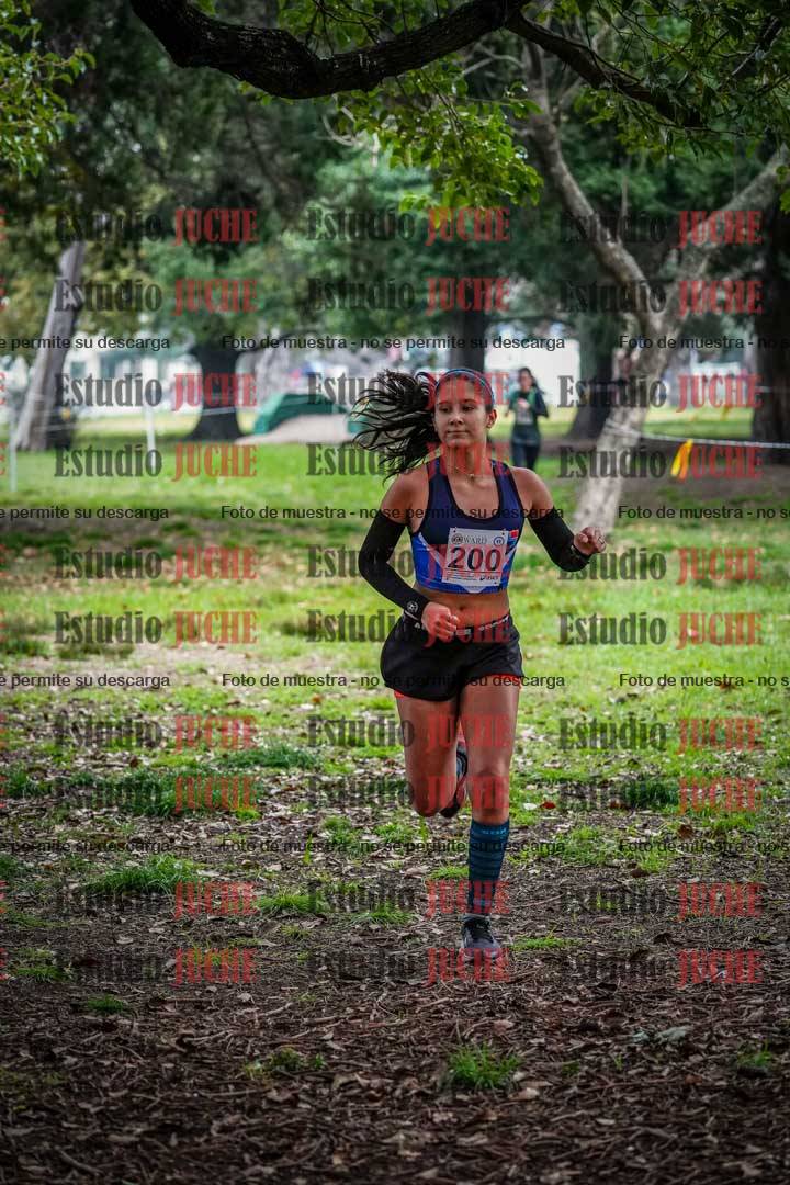 Fotos en el quinto punto del circuito