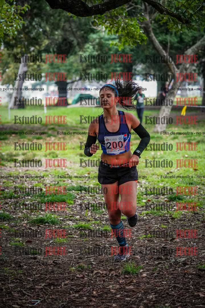 Fotos en el quinto punto del circuito